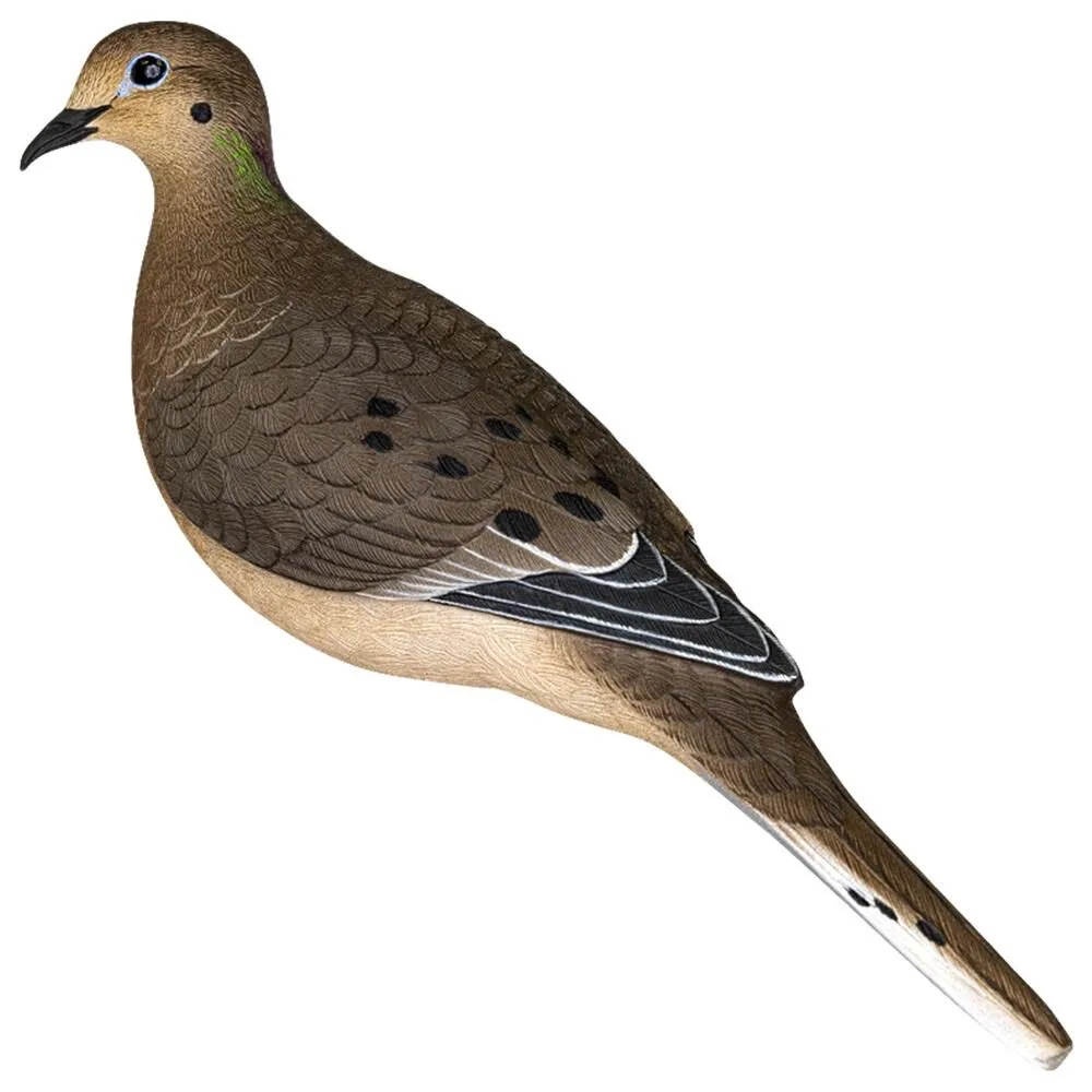 Https3A2F2Fmedia.chattanoogashooting.com2Fimages2Fproduct2Favavxdove6Pk2Favavxdove6Pk-1 Avian apx full body dove decoys 6/ct - image 1