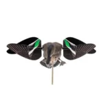 Avian-X Powerflight Replacement Wings Teal WINGS ONLY