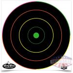 Birchwood Casey Dirty Bird 12" Multicolor Bull's-Eye Target 100/ct