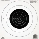 Champion Official NRA Targets B-16 25 yd.  Slow Fire 100/Pack