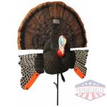 MOJO Scoot-N-Shoot MAX