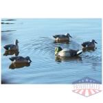 MOJO RIPPLER MALLARD DRAKE - DECOY - Image 3