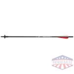 CARBON EXPRESS XBOW DISCHARGE - ARROW FIBERGLASS 22" 1EA