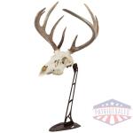 ALLEN EZ MOUNT CENTERPIECE - SKULL STAND BROWN