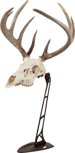 ALLEN EZ MOUNT CENTERPIECE - SKULL STAND BROWN