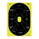 ALLEN EZ AIM 12"X18" HG TRAINER 8PK