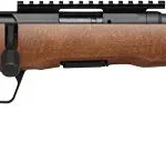 SAVAGE B17 TIMBER THUMBHOLE - 17HMR 18" 10RD BLUED/WOOD