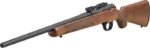 SPRINGFIELD 2020 RIMFIRE 22LR - 20" 10RND SELECT WALNUT/BLUED - Image 2