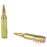 hrndy sf 243win 95gr sst 20/200