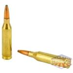 REM 243WIN 100GR PSP CL 20/200 - Image 4