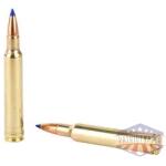 wby ammo 300wby 180gr ttsx 20/200