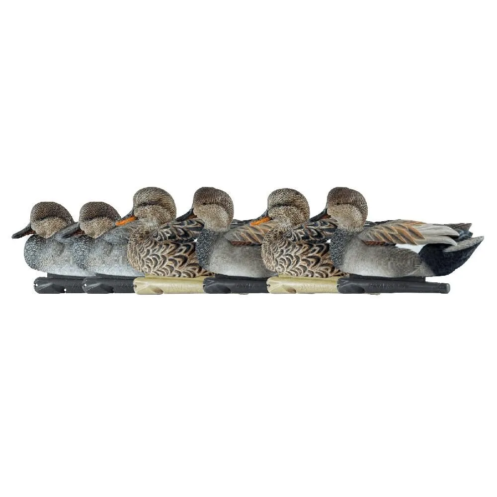 Https3A2F2Fmedia.chattanoogashooting.com2Fimages2Fproduct2Favavxavx80852Favavxavx808_1 Avian-x topflight decoys gadwall 6/ct - image 1
