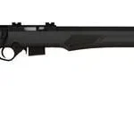 Rossi RB Rifle Series .17 HMR 5 rd 21" Barrel Magazine Black Stock