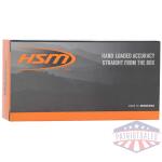 hsm 300 aac 110gr v-max - 20rd 25bx/cs