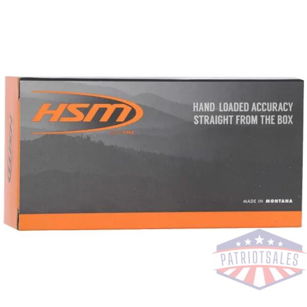 hsm 300 aac 110gr v-max - 20rd 25bx/cs