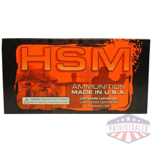 hsm 300 aac 220gr subsonic - bthp 20rd 25bx/cs