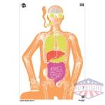 allen ez aim 23x35 makin bones 3pk