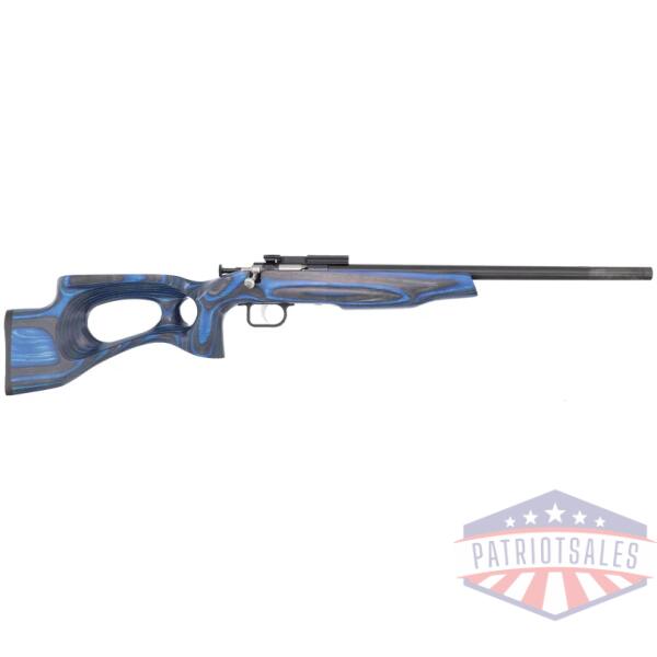 crickett extreme rifle 22lr - blue laminate thumbhole blued
