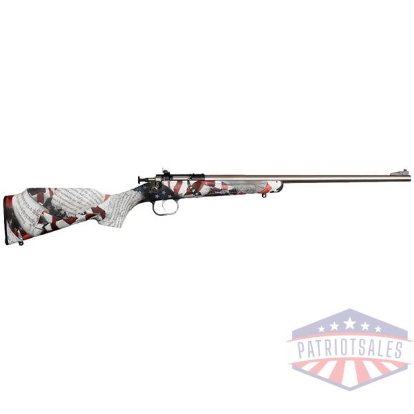 crickett rifle g2 22lr - amendment stainless