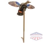 mojo elite series mini mallard - hen decoy