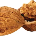 https3a2f2fmedia chattanoogashooting com2fimages2fproduct2fjf752212fjf75221