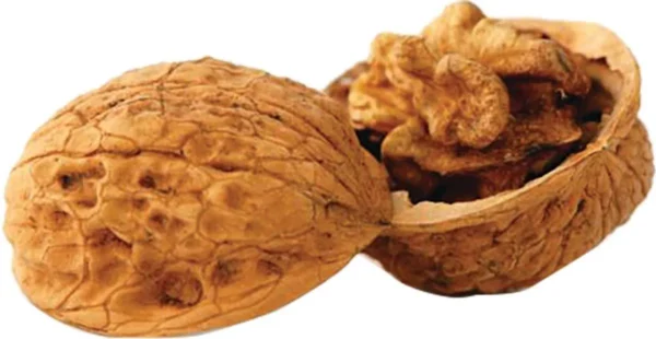 https3a2f2fmedia chattanoogashooting com2fimages2fproduct2fjf752212fjf75221